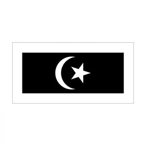 Terengganu Flag