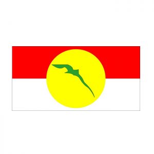 UMNO Flag